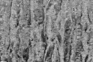 Cómo integrar texturas en la serigrafía